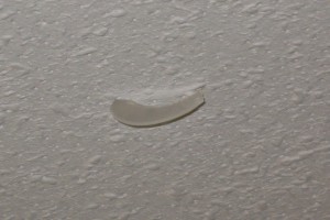 Bottle Piece Lodged in Ceiling